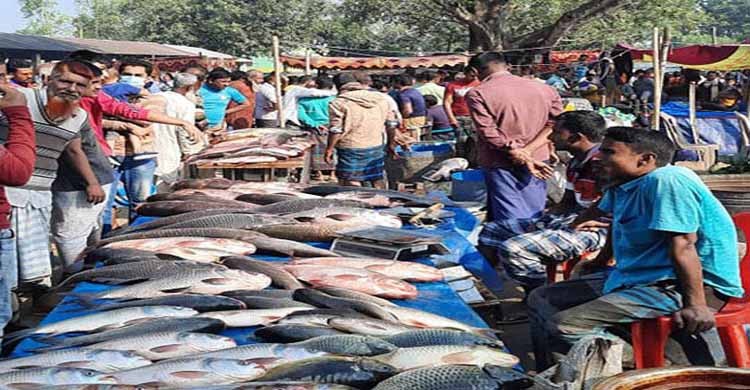 বগুড়ার শিবগঞ্জে বসেছে ঐতিহ্যবাহী মাছের মেলা বগুড়ার শিবগঞ্জে বসেছে ঐতিহ্যবাহী মাছের মেলা